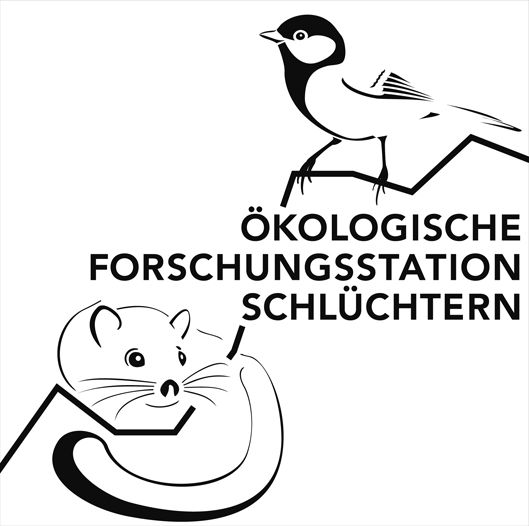 Logo der Forschungsstation, Meise, Bilch