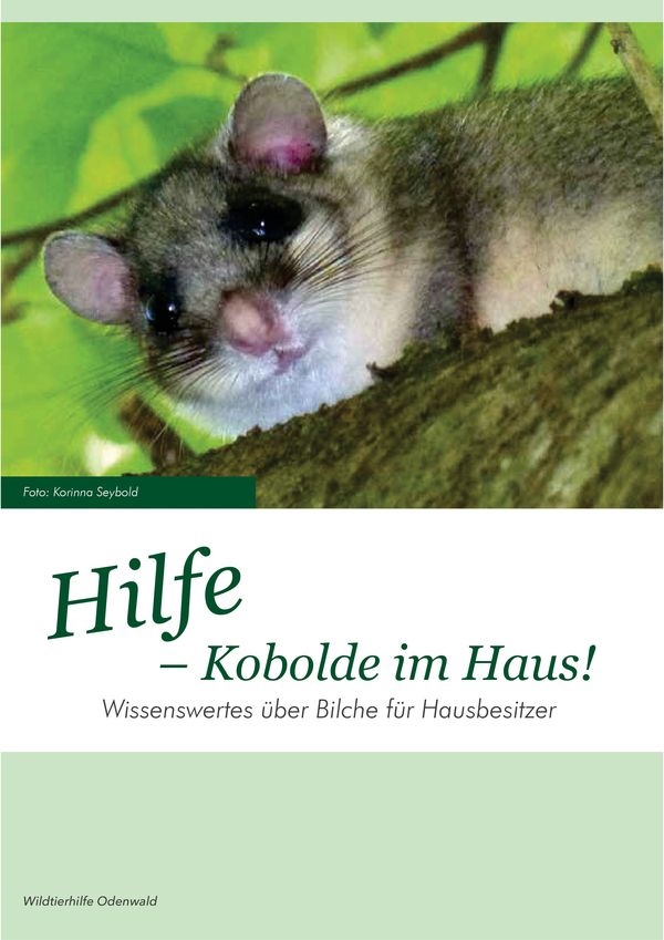 Titelseite des Flyers zu Bilchen im Haus