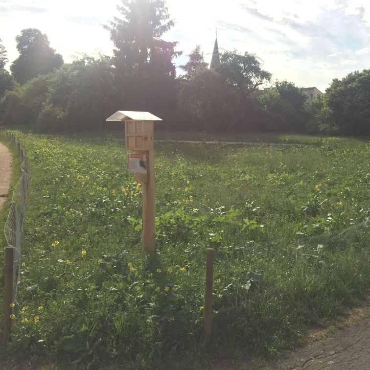 Holzblock mit Insektenbrutroehre