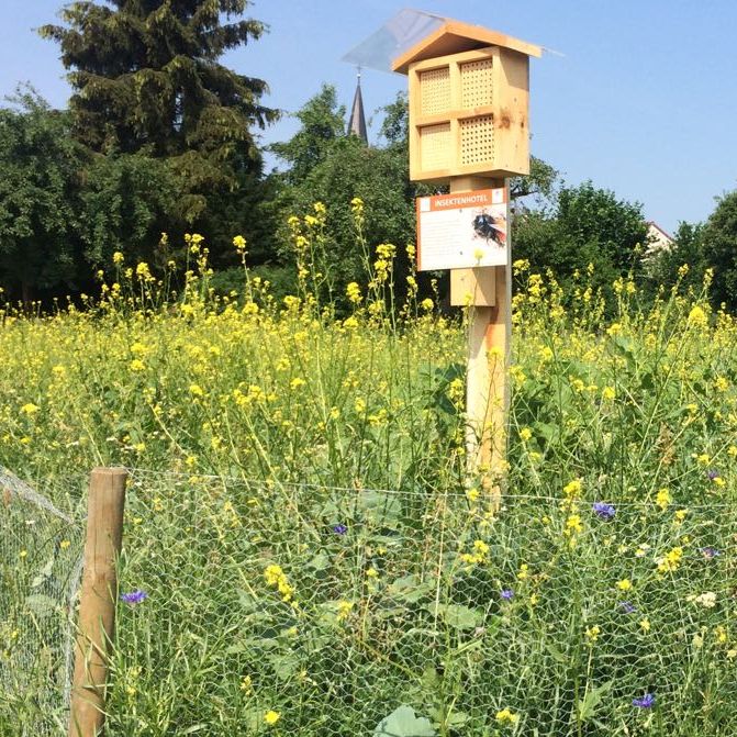 Insektenhotel in Wildblumen