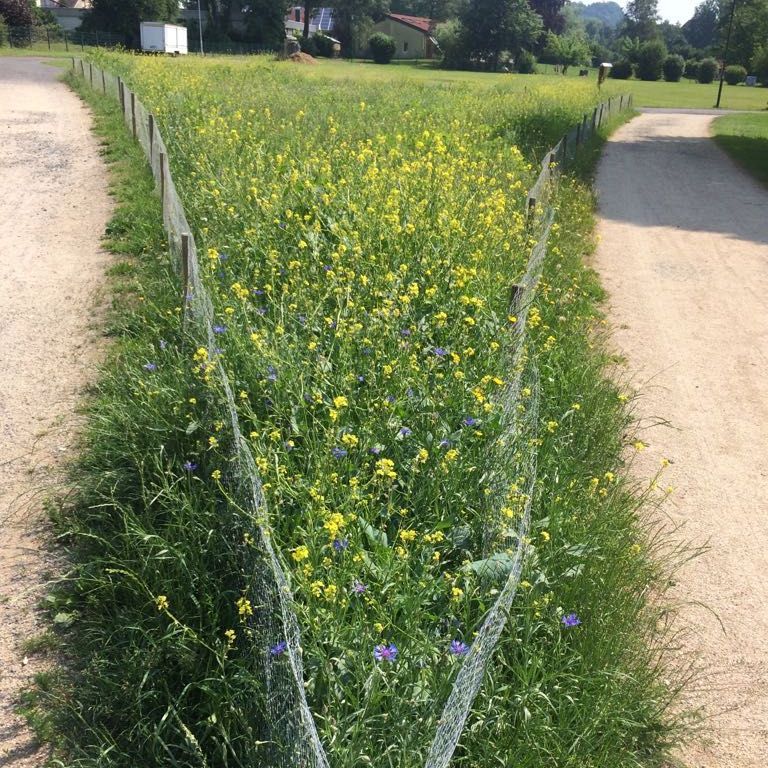 Insektenhotelauf dem Bluehstreifen