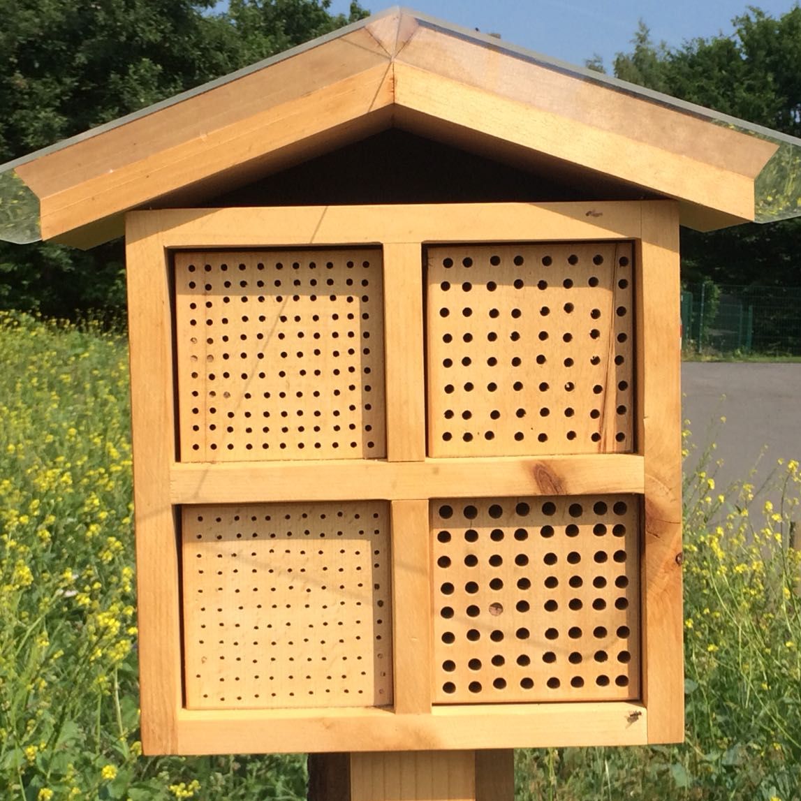 Insekt am Insektenhotel