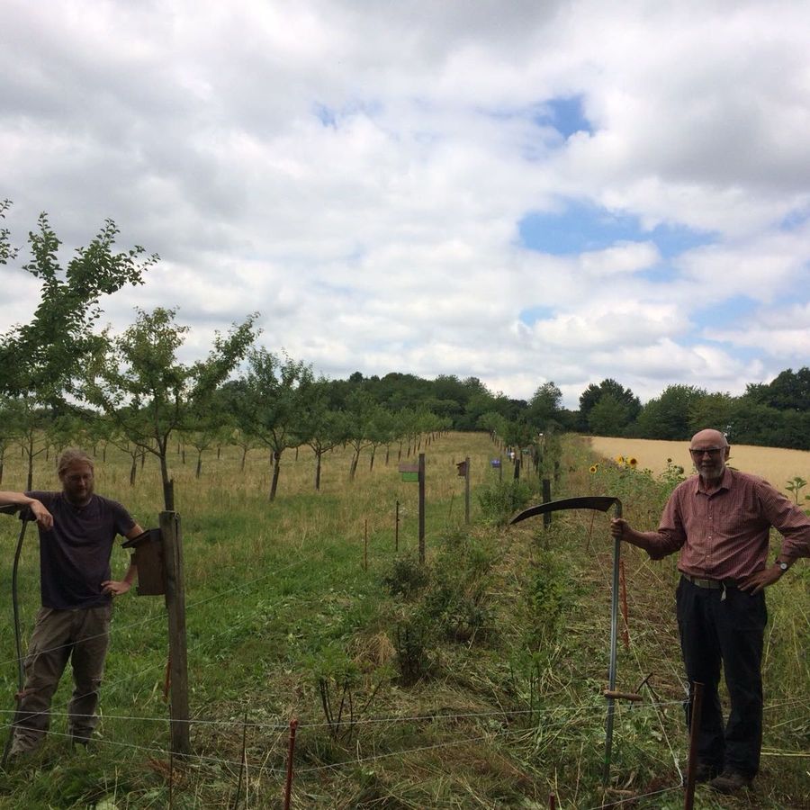 Mitarbeiter der ÖFS nach dem Mähen des Grases