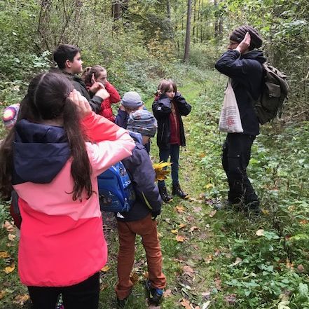 in den Wald lauschen