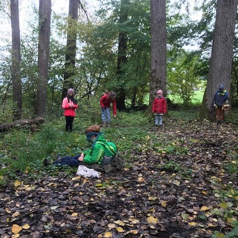 Waldmandala aus Stöcken und Blättern