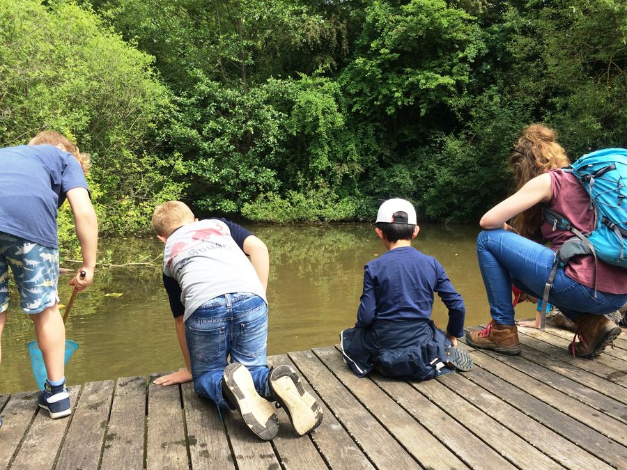 Kinder mit Keschern beim Wildpädagogikkurs