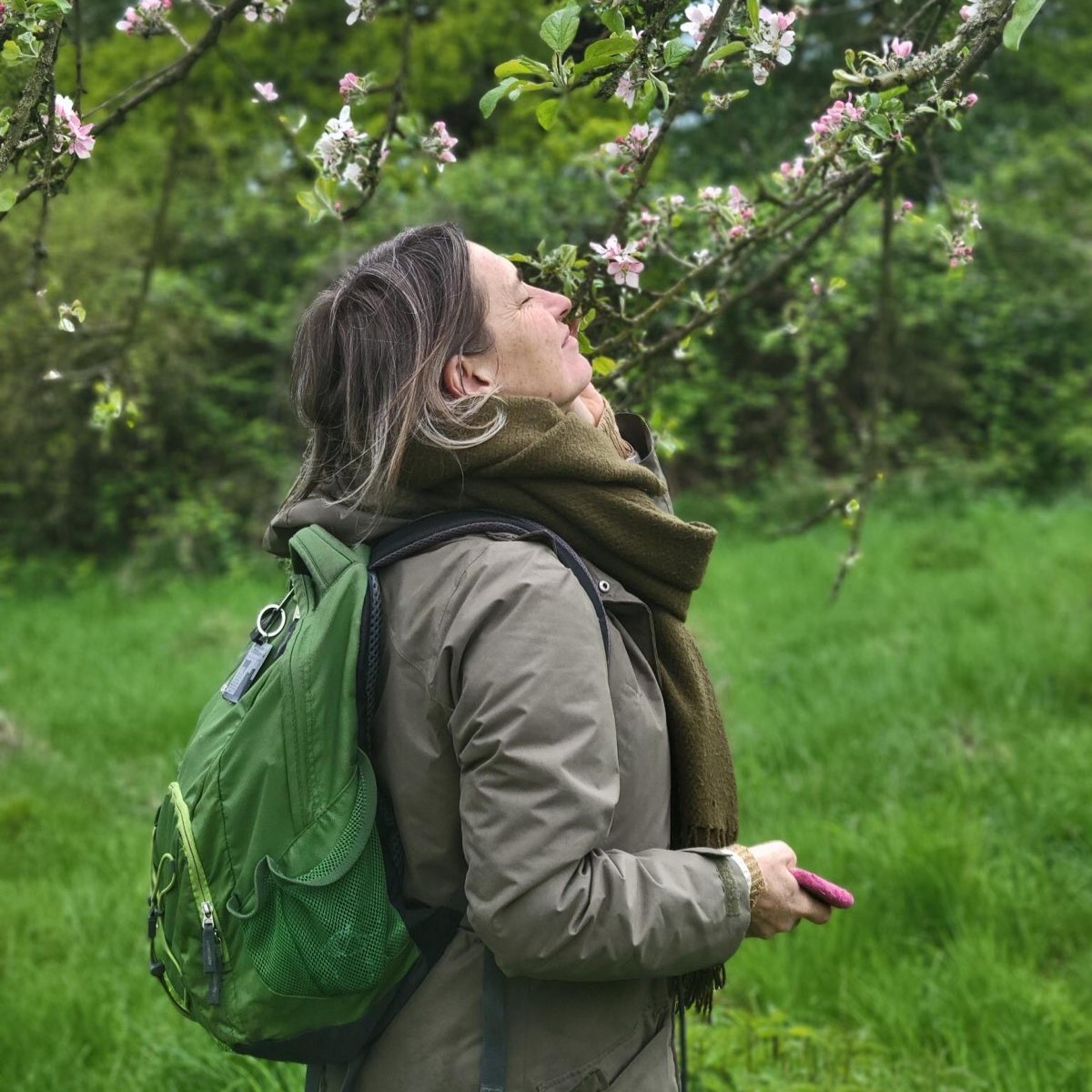 Impressionen von der Streuobstwiese