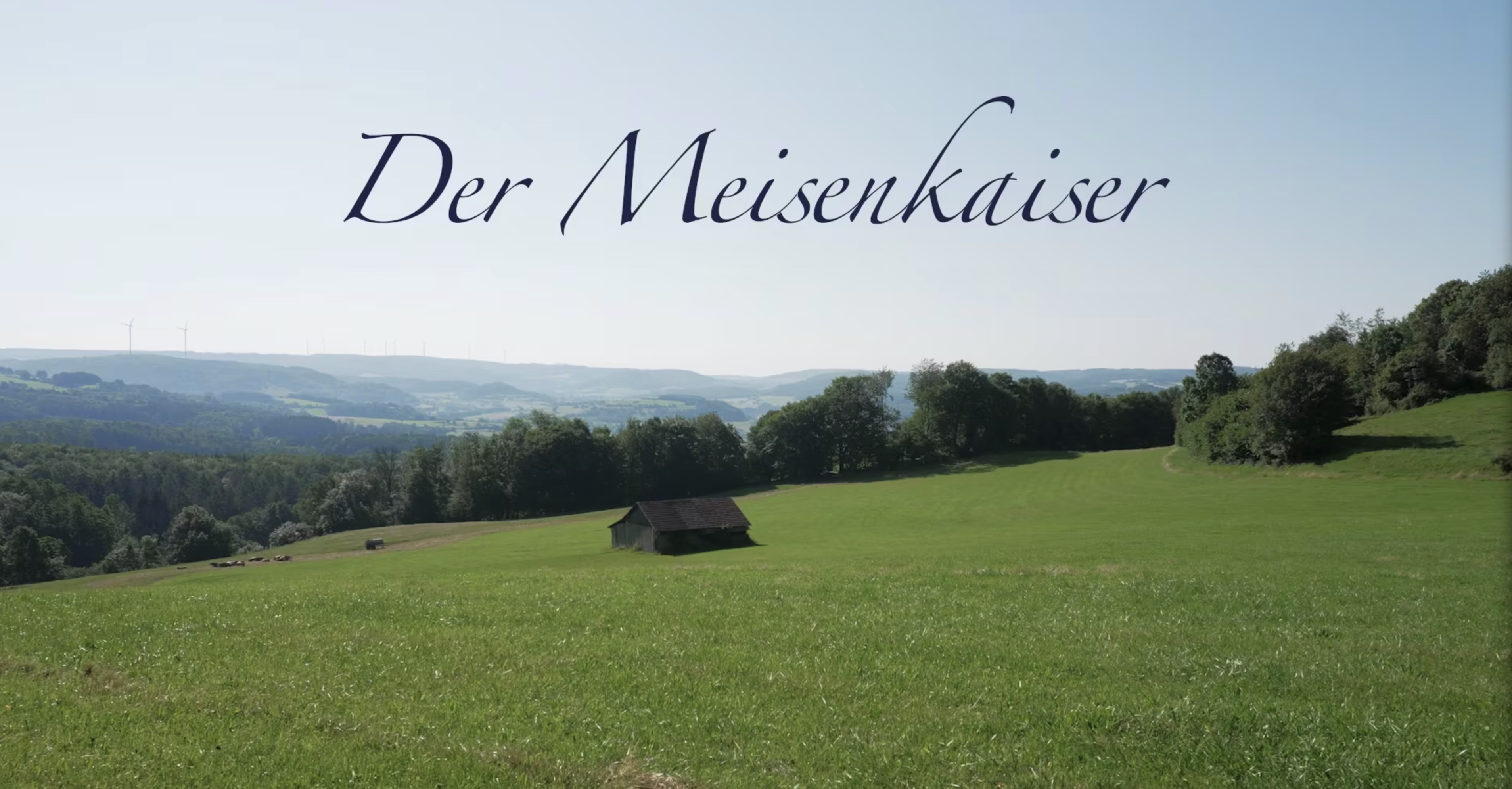 Startbild des Videos Der Meisenkaiser über Dr. Karl-Heinz Schmidt