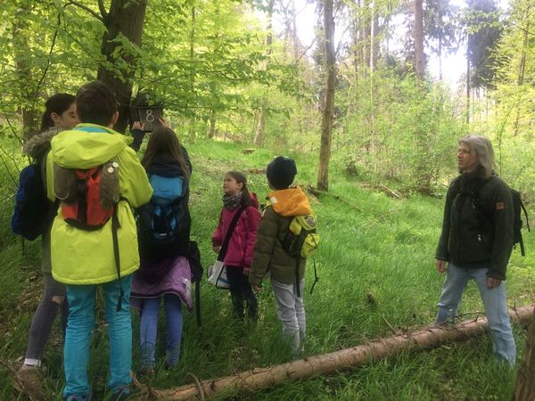 Kinder schauen beim brutbiologischen Kurs in einen Nistkasten.