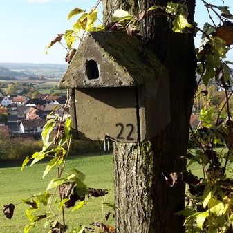 Nistkasten im Herbst im Hohenzeller Weinberg