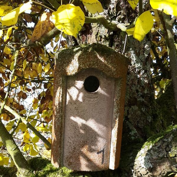 Nistkasten im Herbst auf einer Streuobstwiese