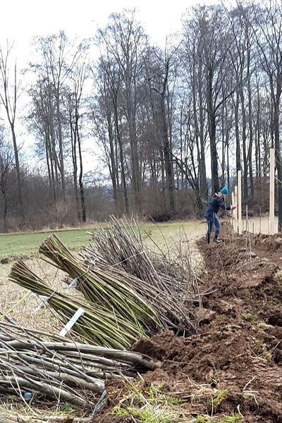 Markierung der Pflanzplätze