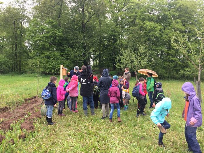 Das hr-Fernsehen besucht das Heckenprojekt der Ökologischen Forschungsstation