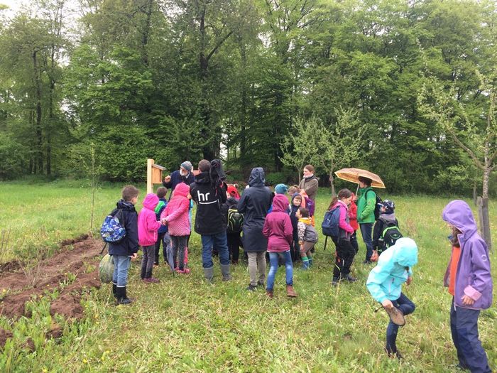 Das hr-Fernsehen besucht das Heckenprojekt der Ökologischen Forschungsstation