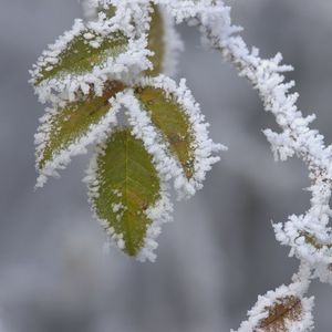 Wintereinbruch auf den Streuobstwiesen