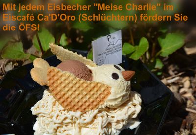 Eisbecher Meise Charly