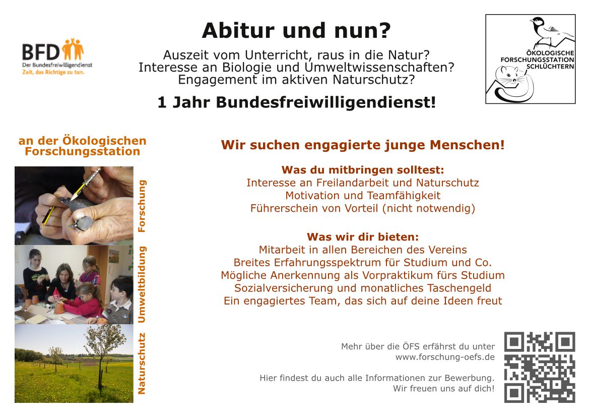 Plakat zum BFD