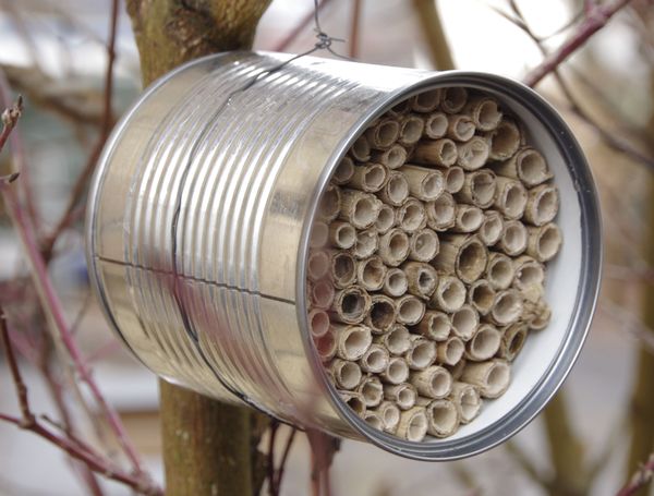 Insektennisthilfe aus einer Metalldose und Schilf