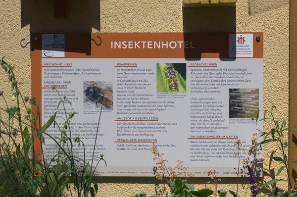 Beobachtungsmöglichkeiten am Insektenhotel