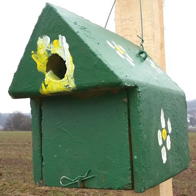 bunt gestalteter Nistkasten hängt an der neu gepflanzten Hecke