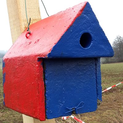 bunt gestalteter Nistkasten hängt an der neu gepflanzten Hecke