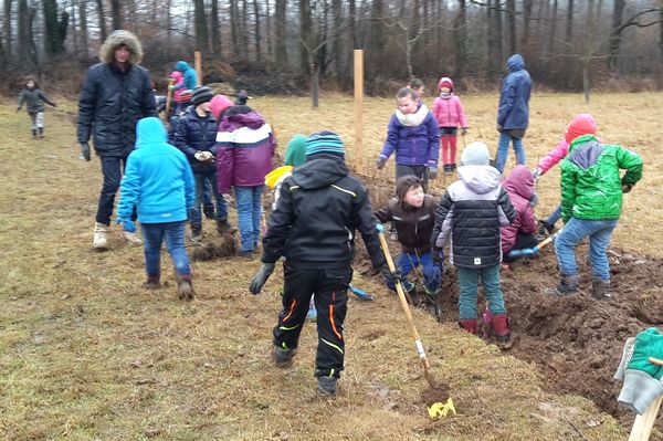 Pflanzung der Hecke mit Schulklassen