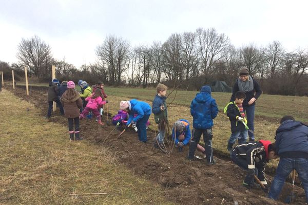 Grundschulkinder pflanzen eine Hecke für die Haselmaus