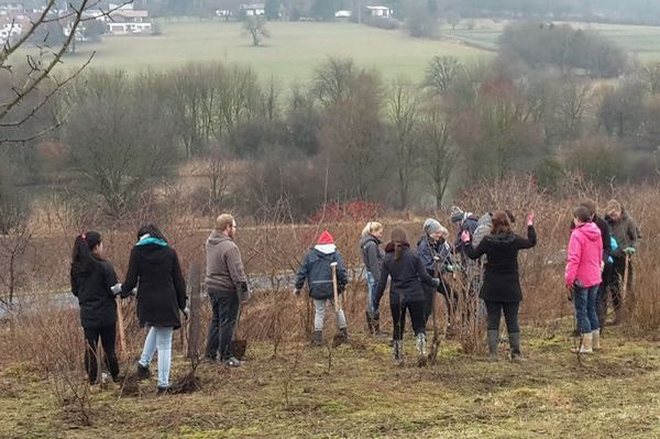 Pflanzung der Hecke mit Schulklassen