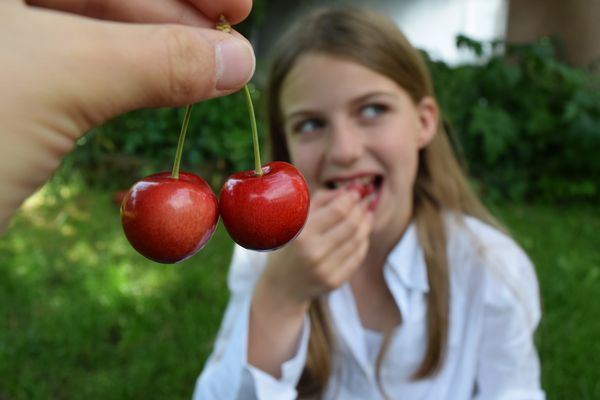 leckere Kirschen 
essen