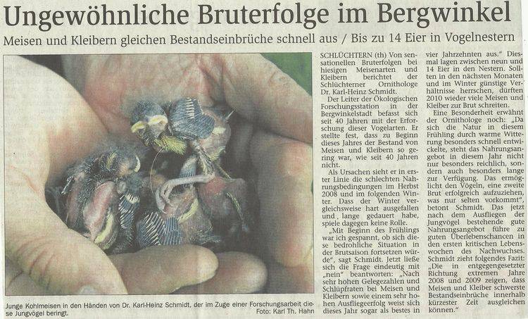 Presseartikel vom 30.06.2009