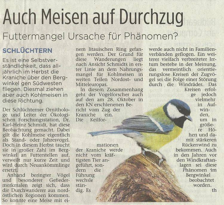 Presseartikel vom 05.11.2010
