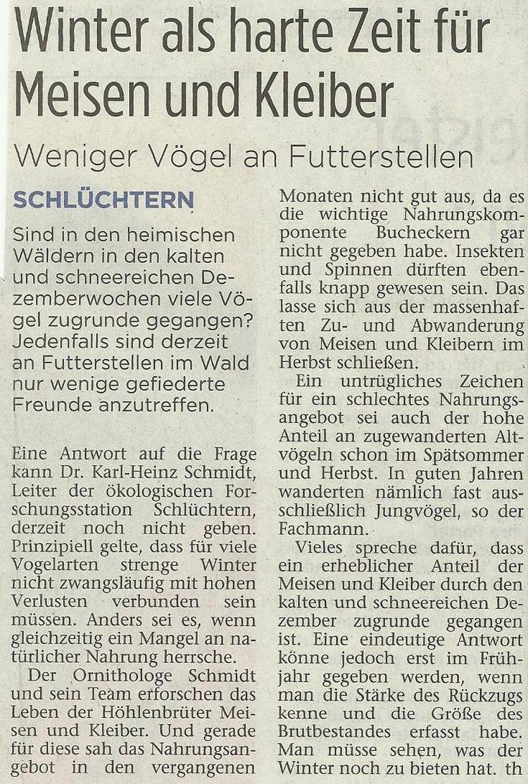 Presseartikel vom 31.01.2011