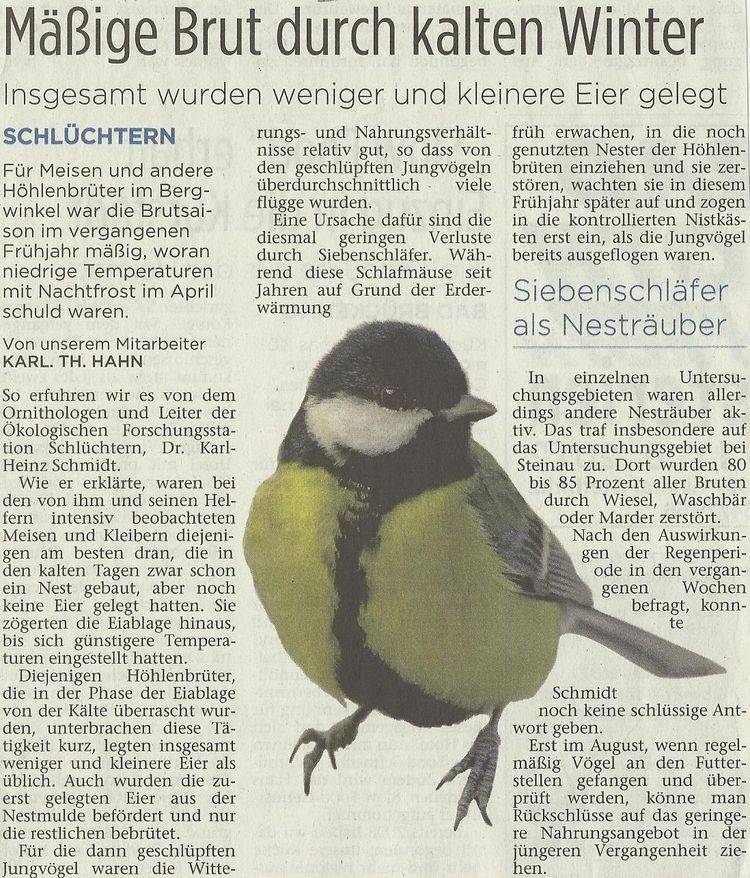 Presseartikel vom 28.07.2012