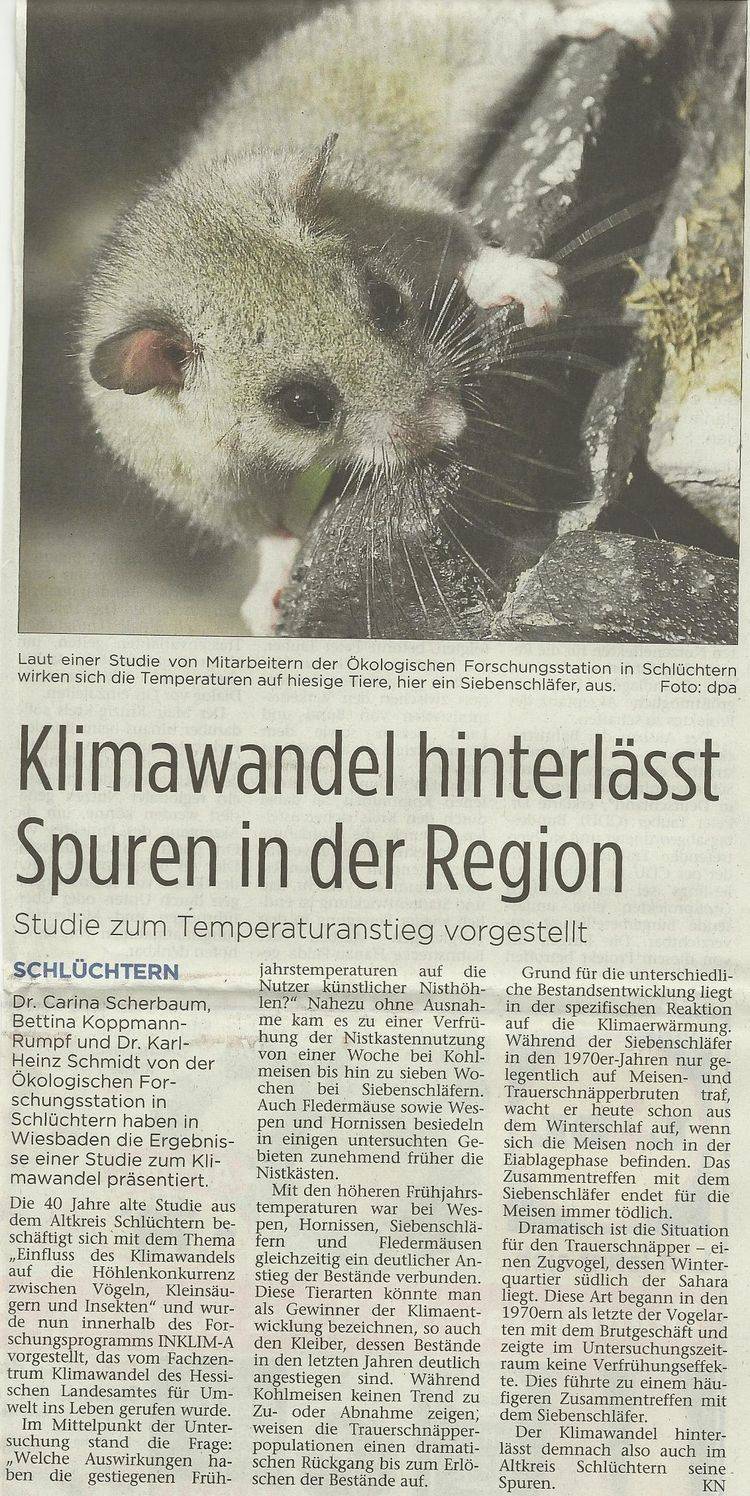 Presseartikel vom 31.05.2012