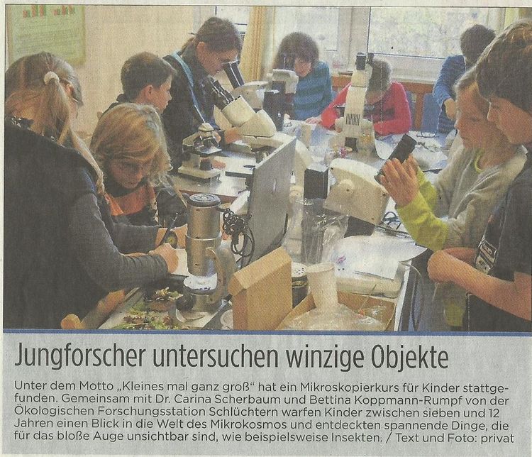 Presseartikel vom 19.11.2013