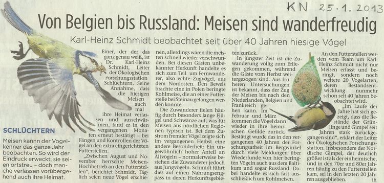 Presseartikel vom 25.01.2013